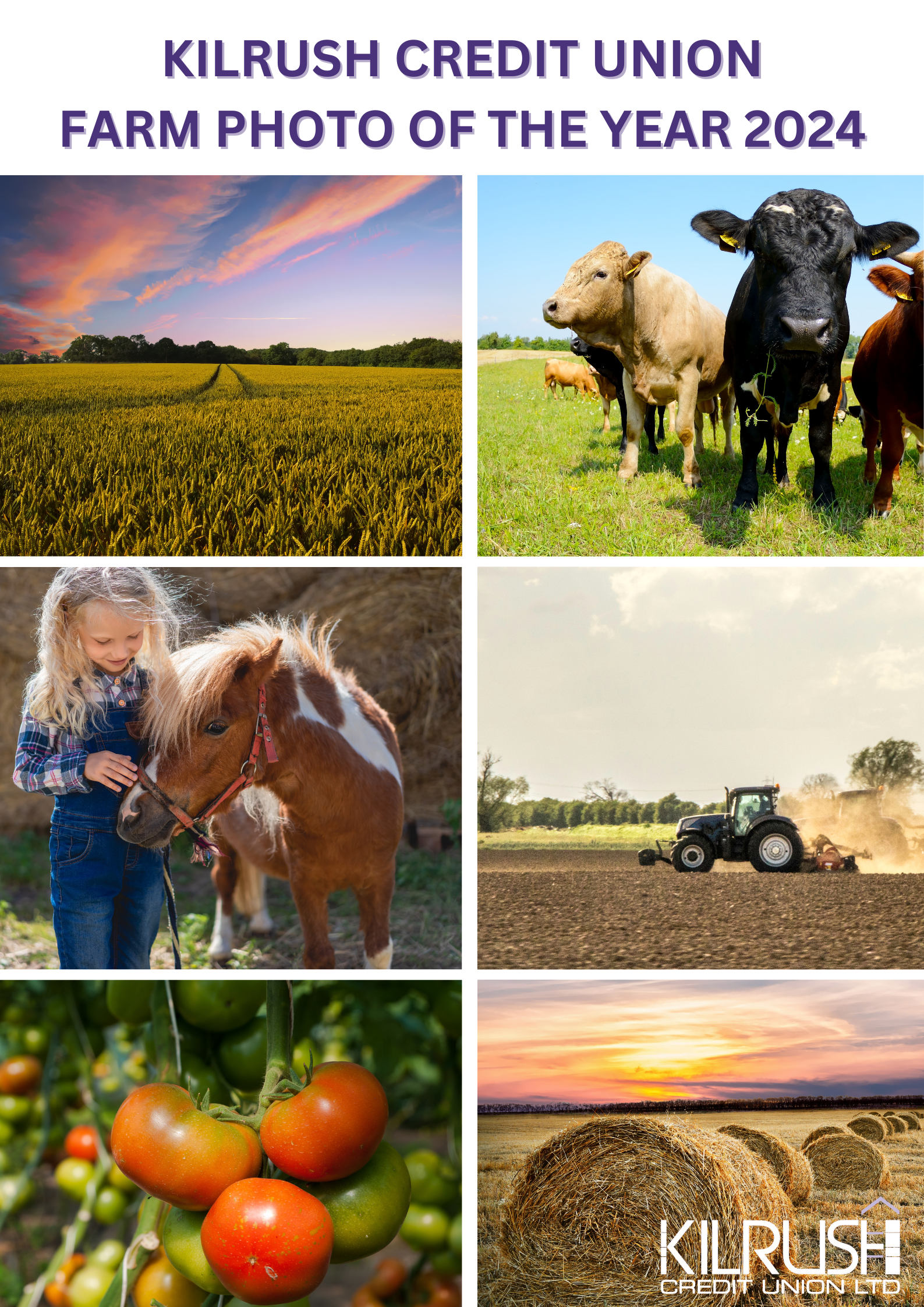 Cultivate week competition