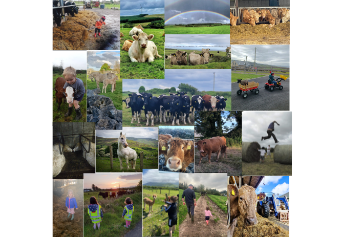 Cultivate competition is live